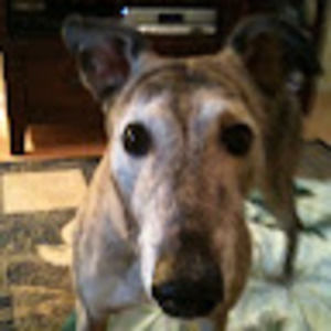 Meet your Posher, Michele